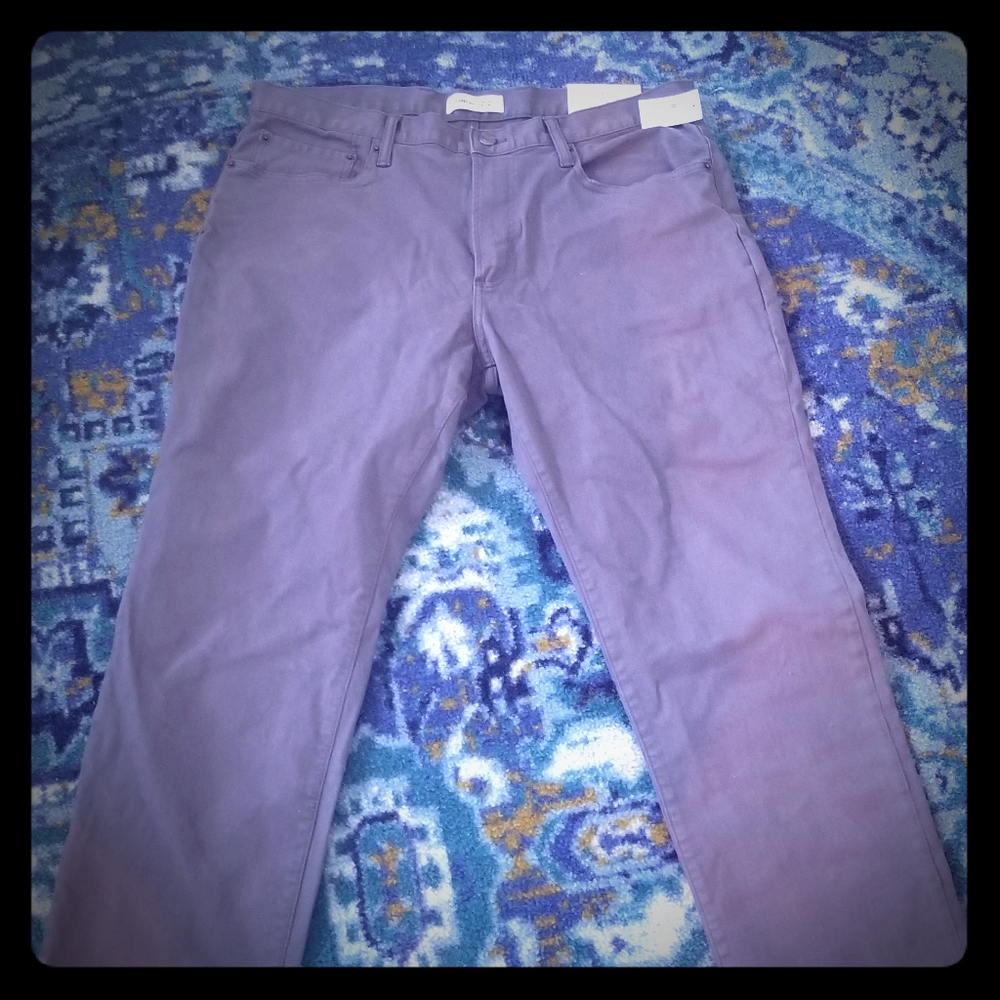 NWT GAP men's pant